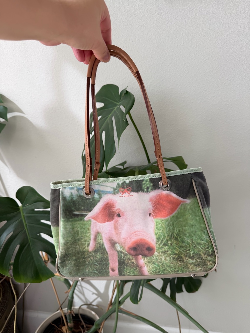Anya Hindmarch Piglet Shoulder Bag Leather and Canvas Wilbur Cute Whimsical HTF